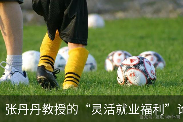 张丹丹教授的“灵活就业福利”论引发的社会反响